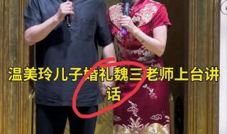 温美玲现在结婚了吗 温美玲现任老公简历