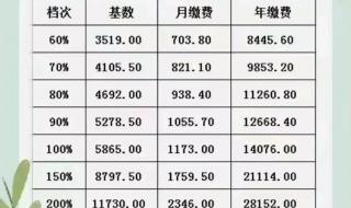 2021至2022年度北京社保缴费基数 2022年社保缴费价格表