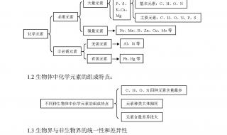 高中生物免疫调节知识点总结 高二生物知识点总结